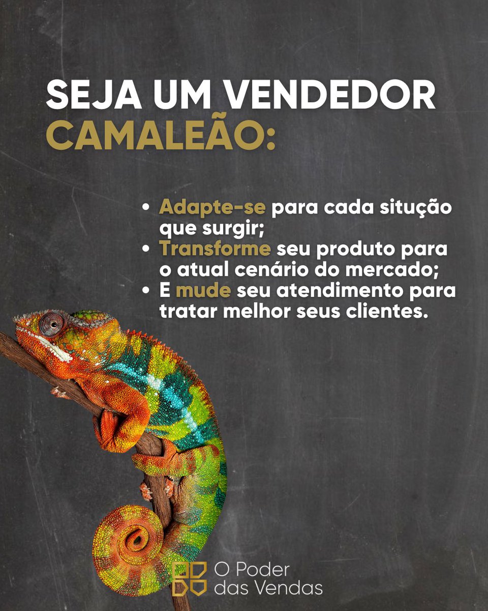 oportoneto's tweet photo. Agora me diz, você também tem o necessário para ser um vendedor camaleão?

Segue para mais Dicas de Vendas
Insta: @oportoneto

[Vendas] Palestrante | Treinamentos | Consultoria

 •Me adiciona no WhatsApp 41 99936-0299 •
.
.
.
.
.
#Treinamento #vendas #OPoderDasVendas 🔥 https://t.co/PHvGmDfu9u