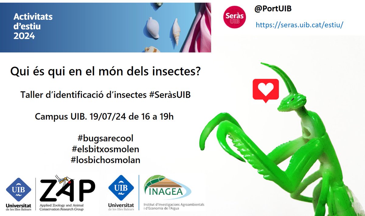 MAMirandaTweet's tweet photo. Tornem amb el taller d'estiu a @UIBuniversitat més autèntic i inimitable: "Qui és qui en el món dels #insectes" amb activitats per identificar i dibuixar aquests animalons amb les nostres entomòlogues favorites @Aroarl941 @julia_lopez9 i un servidor #SeràsUIB #elsbitxosmolen https://t.co/ecoMjQzVPo