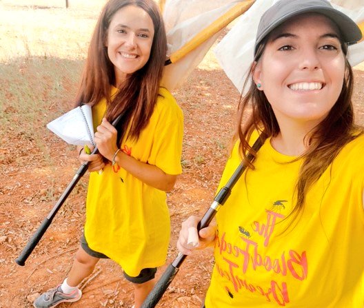 MAMirandaTweet's tweet photo. Tornem amb el taller d'estiu a @UIBuniversitat més autèntic i inimitable: "Qui és qui en el món dels #insectes" amb activitats per identificar i dibuixar aquests animalons amb les nostres entomòlogues favorites @Aroarl941 @julia_lopez9 i un servidor #SeràsUIB #elsbitxosmolen https://t.co/ecoMjQzVPo