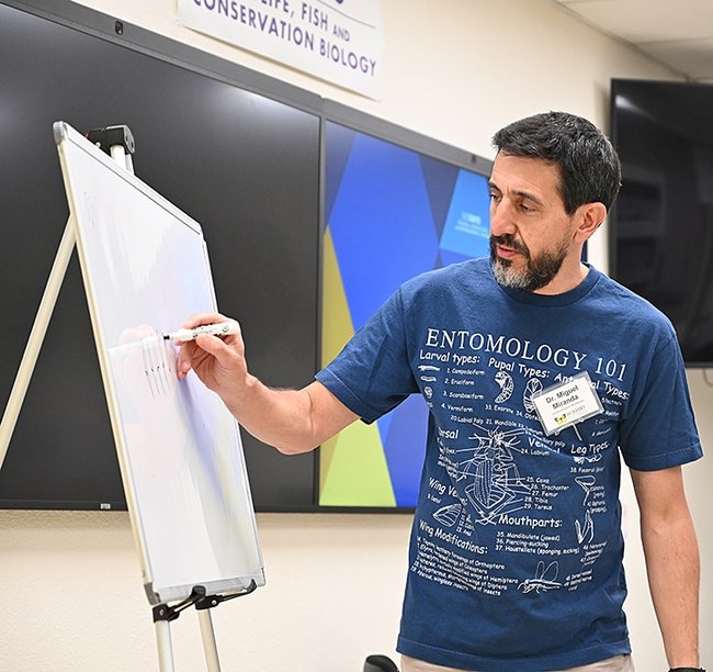 MAMirandaTweet's tweet photo. Tornem amb el taller d'estiu a @UIBuniversitat més autèntic i inimitable: "Qui és qui en el món dels #insectes" amb activitats per identificar i dibuixar aquests animalons amb les nostres entomòlogues favorites @Aroarl941 @julia_lopez9 i un servidor #SeràsUIB #elsbitxosmolen https://t.co/ecoMjQzVPo