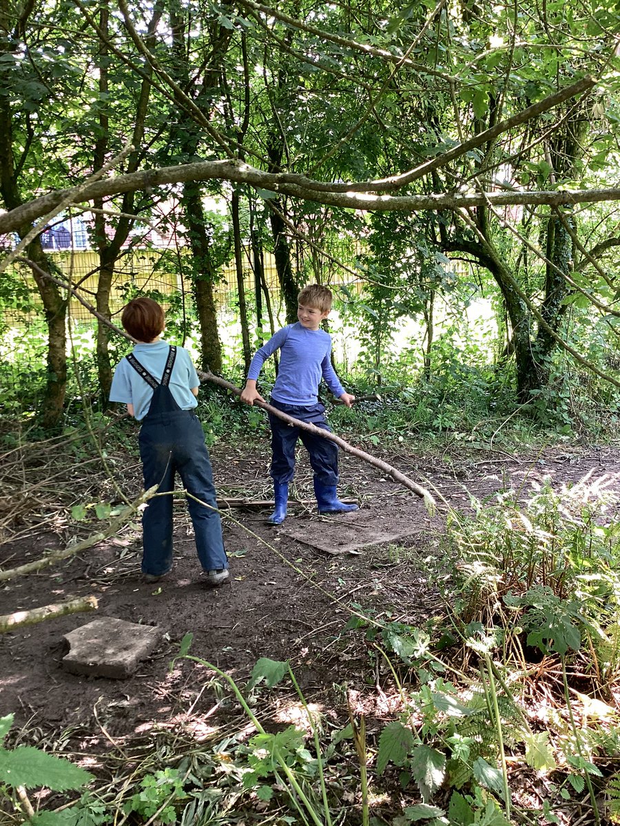G_HamiltonClass's tweet photo. We’re having fun in the forest this afternoon! https://t.co/Rm8TIfMRnL