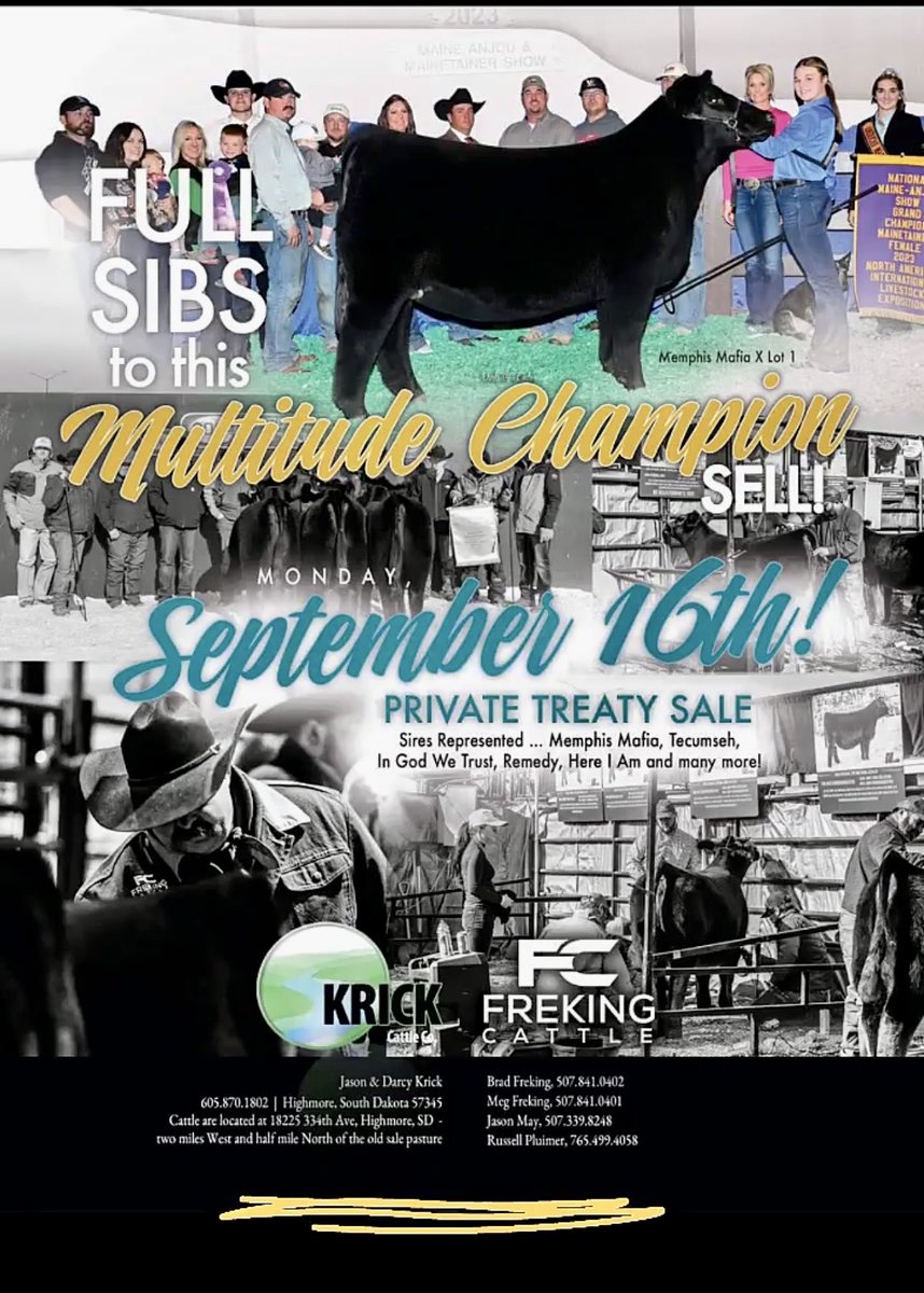 Check out our excellent set of calves this fall in Highmore. Definitely something for everyone 👍🏻