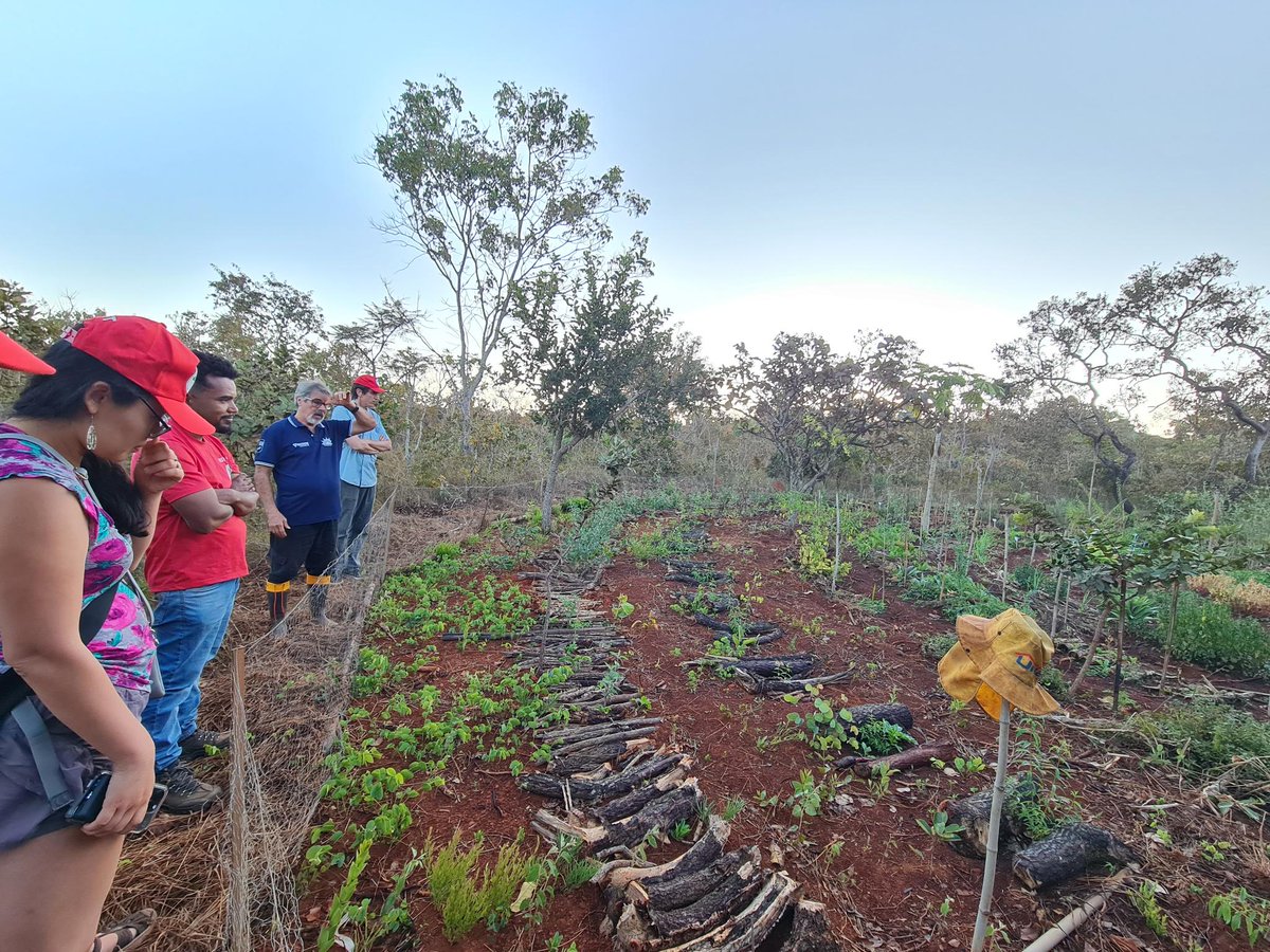 Grassroots International tweet media