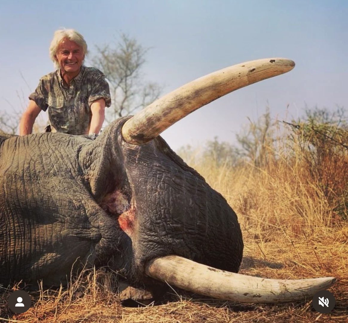 Xpose Trophy Hunting tweet media