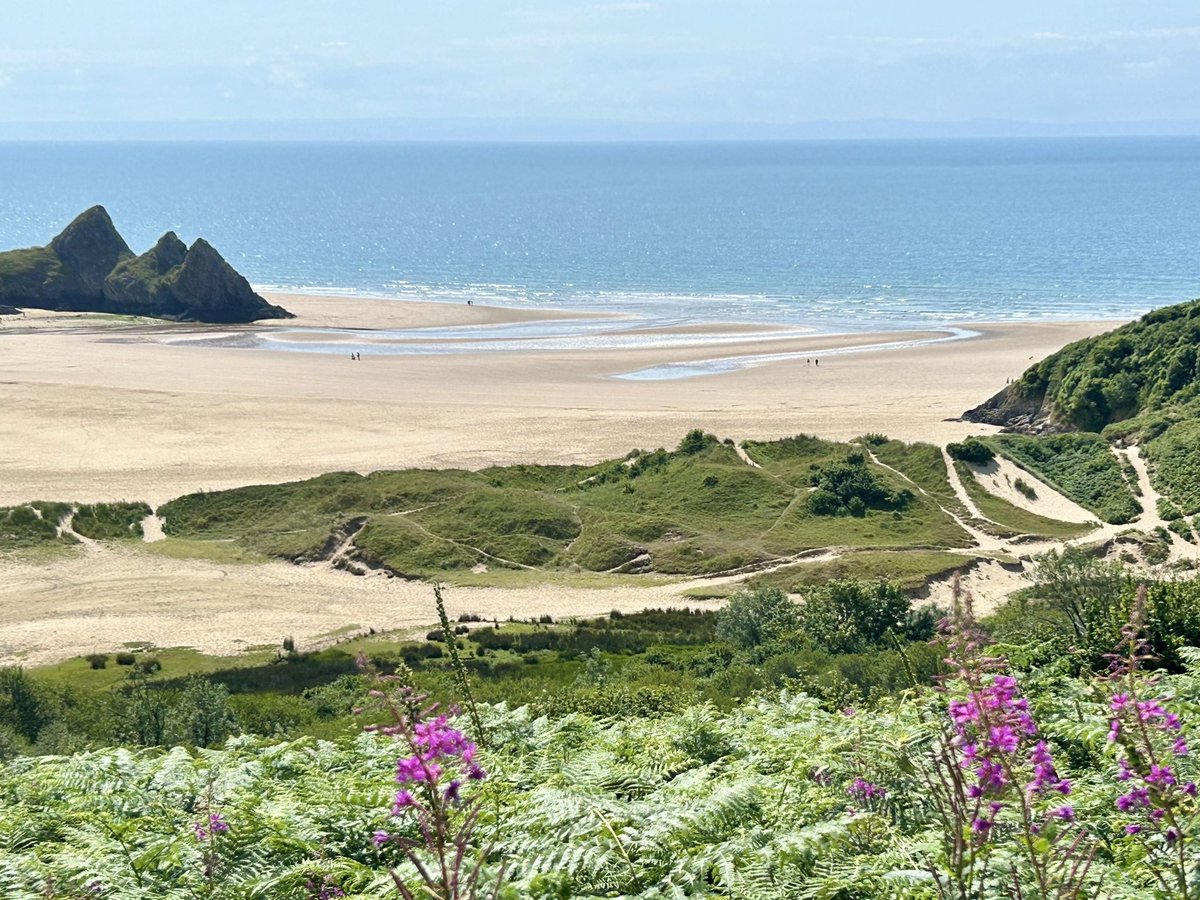 PortmannCarrick's tweet image. #threecliffs ✨