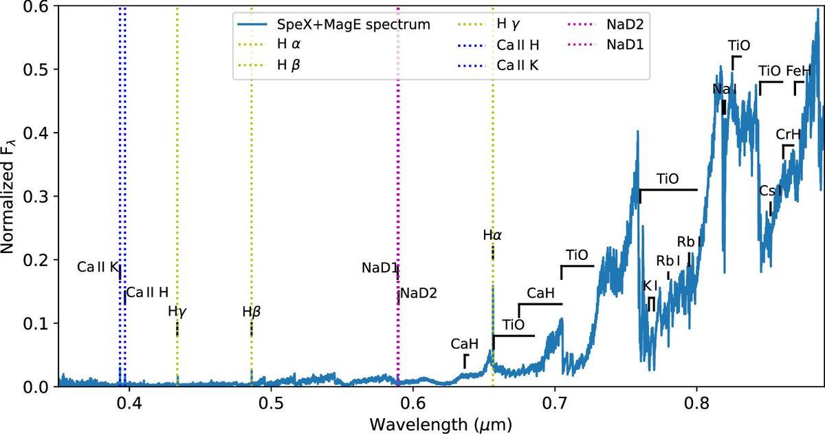 ExoMol tea Journal club: 
Updated Spectral Characteristics for the Ultracool Dwarf TRAPPIST-1 from Davoudi et al. ApJL 2024
iopscience.iop.org/article/10.384…
with amazing high res spectra containing many ExoMol molecules