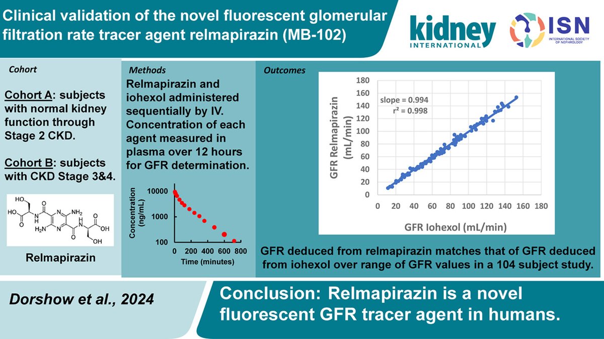 Kidney_Int's tweet photo. Clinical validation of the novel fluorescent #glomerularfiltrationrate tracer agent #relmapirazin (MB-102)

👉https://t.co/pp78TwhnJr

#OpenAccess #GFR https://t.co/LtQ1MDPBgq