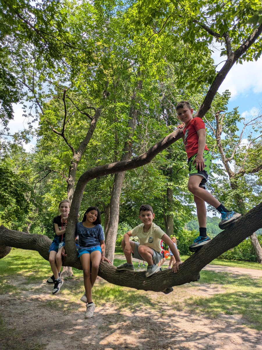 DLPublicSchools's tweet photo. Being in the water at Tamarac, Trowbridge Zoo, Dunton Locks, and STEAM projects have been some of the students favorite learning moments during the Elementary Summer SAIL program. #SummerSAIL #dlpschools #summerlearning https://t.co/vzYwzhtyuB
