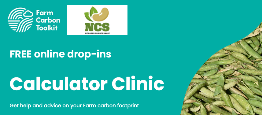 The NCS Project tweet media