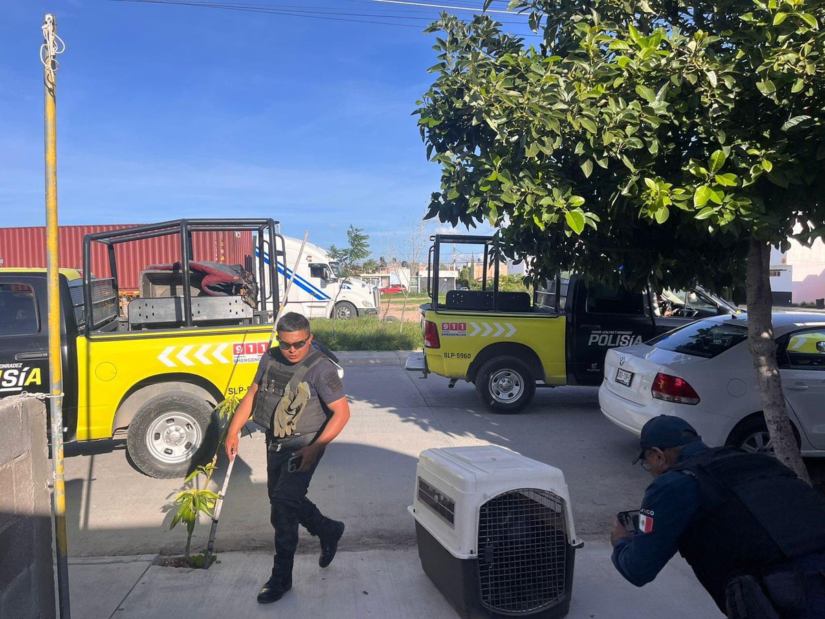 Bienestar Animal Municipal SLP tweet media