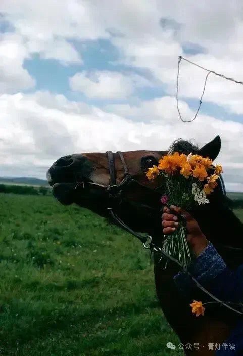 Сайхан амраарай~
1979оны Өвөрмонголын гэрэл зураг