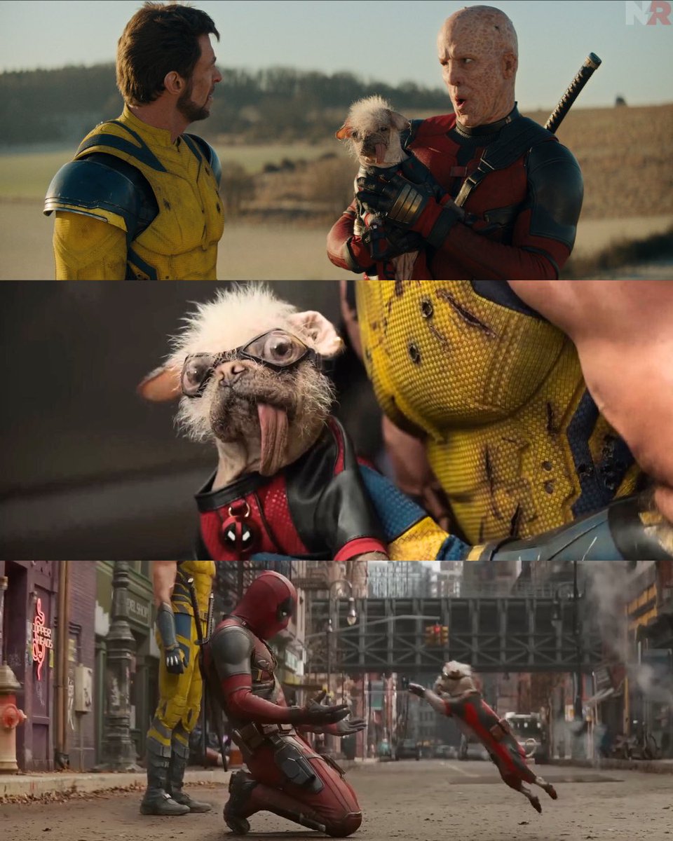 NewRockstars's tweet image. Disney’s new mascot. #Dogpool #DeadpoolAndWolverine