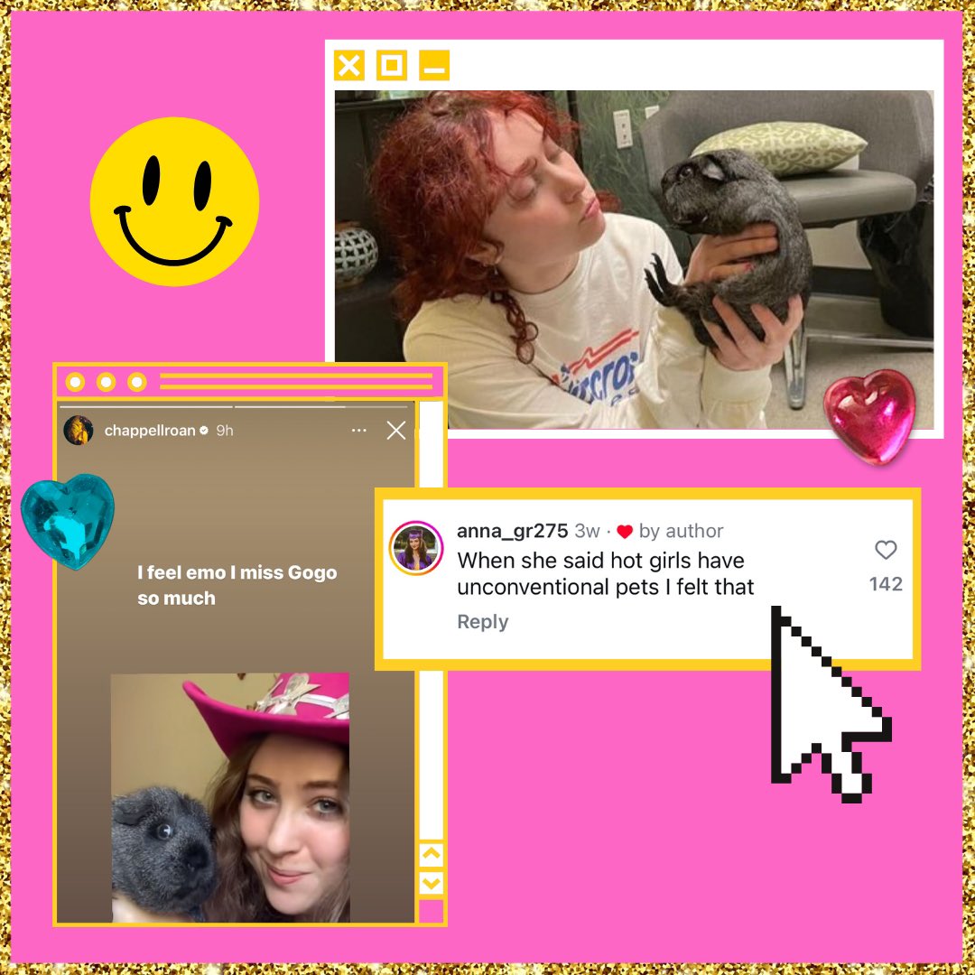 DeadPetGirls's tweet photo. Thinking about @ChappellRoan and her guinea pigs 💭🐹✨ https://t.co/qpgfIgMG3X