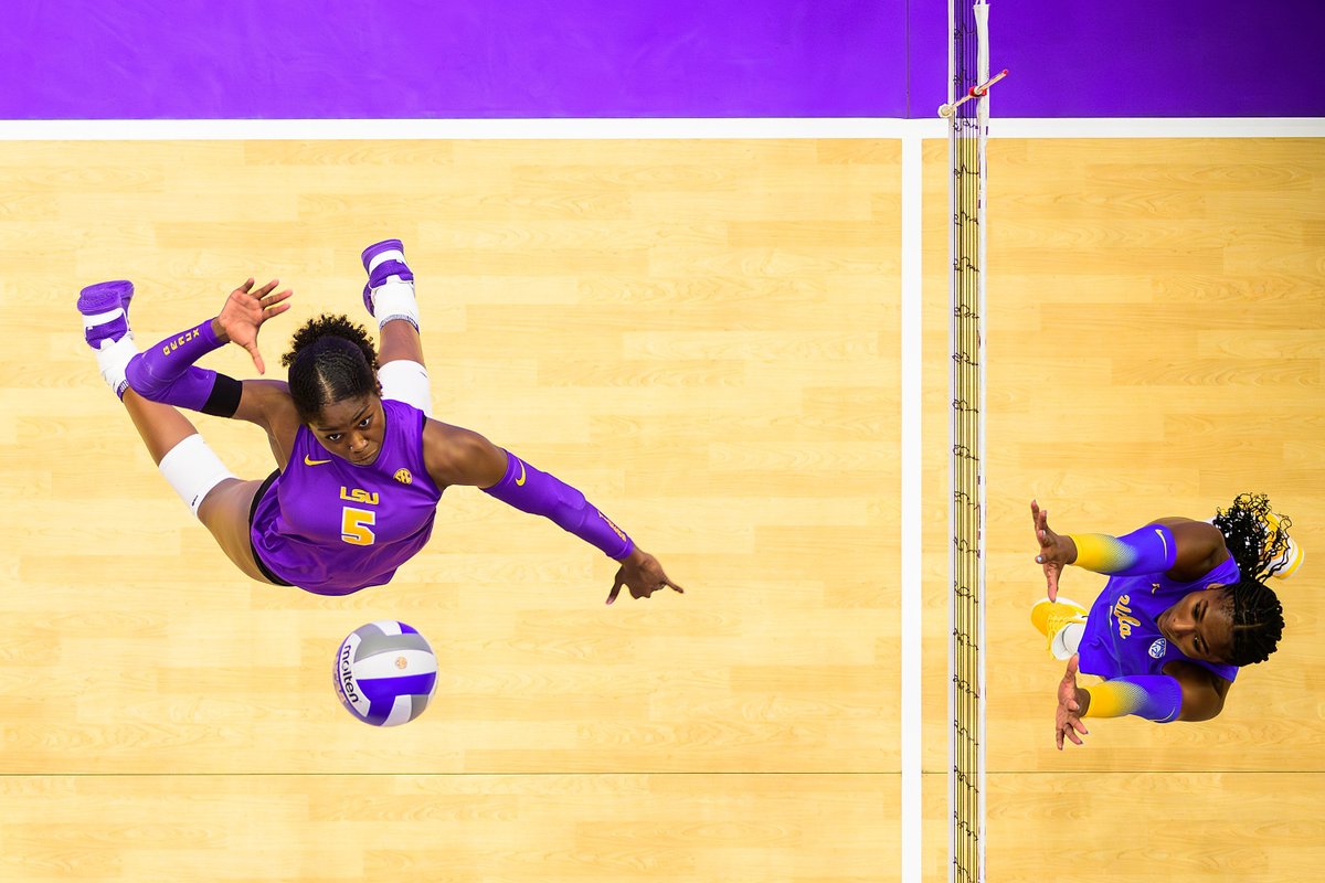 LSUsports's tweet photo. Best Of The Best

Check out our compilation of the top photos from every sport last season! 

📸 https://t.co/SV7kR2A2lX https://t.co/XsXotC1yxx