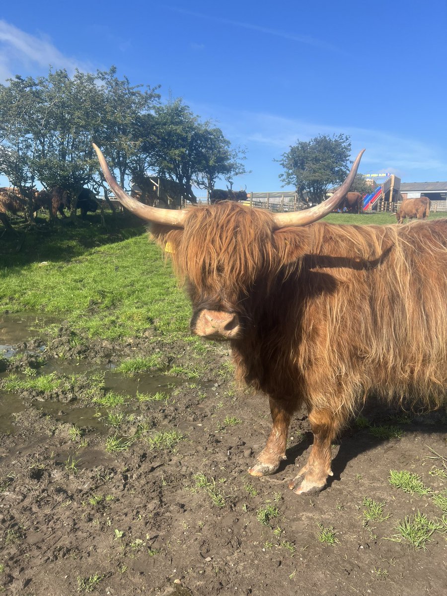 At last some Summer sunshine