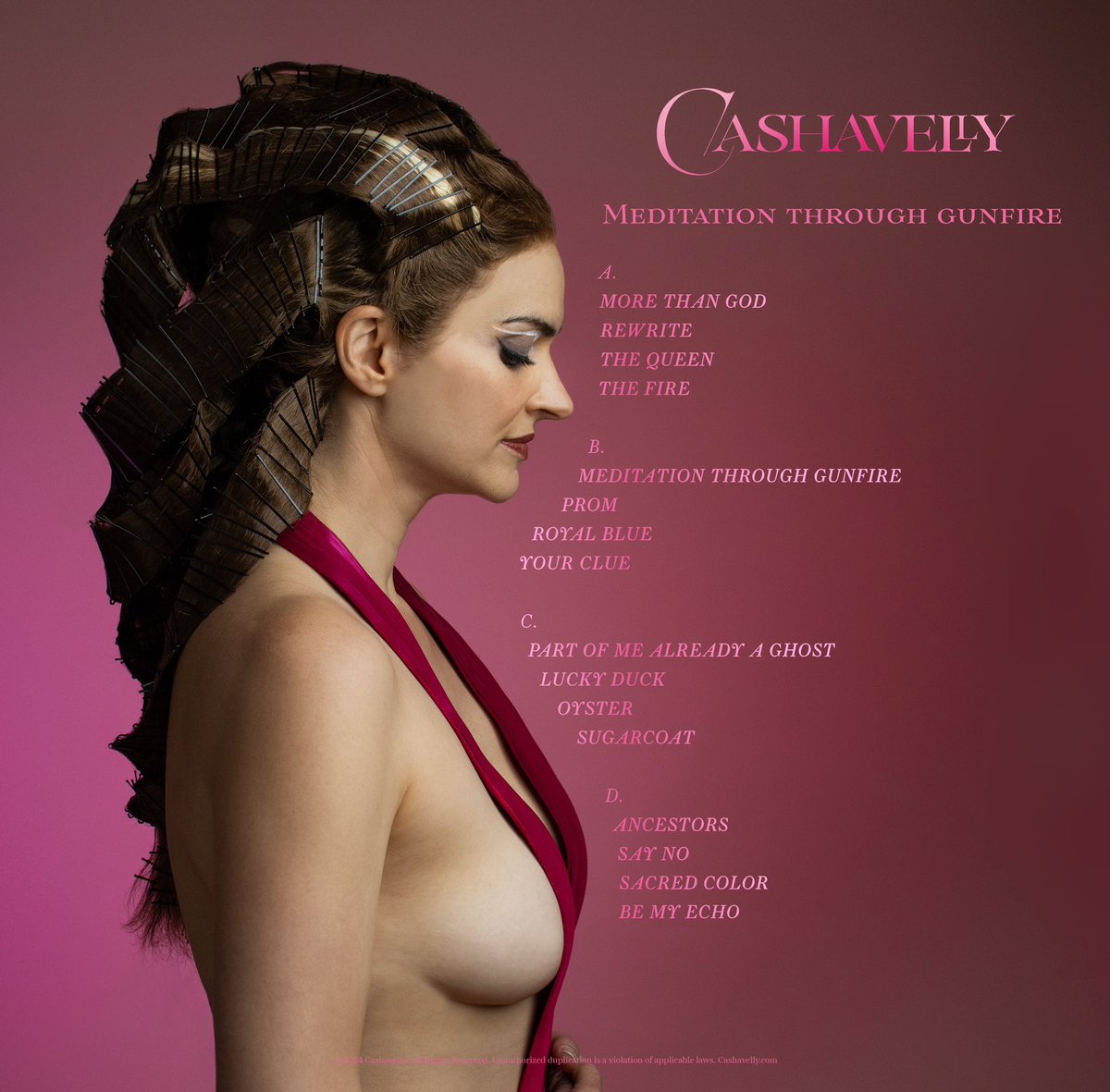 The back cover of Meditation through Gunfire, out October 18