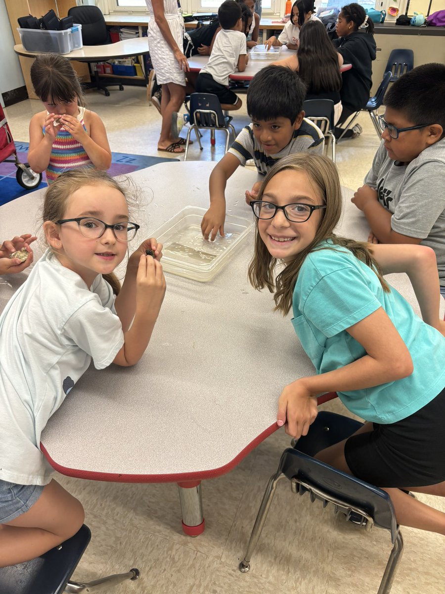 msgalloteaches's tweet photo. Yesterdays touch tank at summer enrichment was a success! 🦀 https://t.co/RC3ZRNJ15b