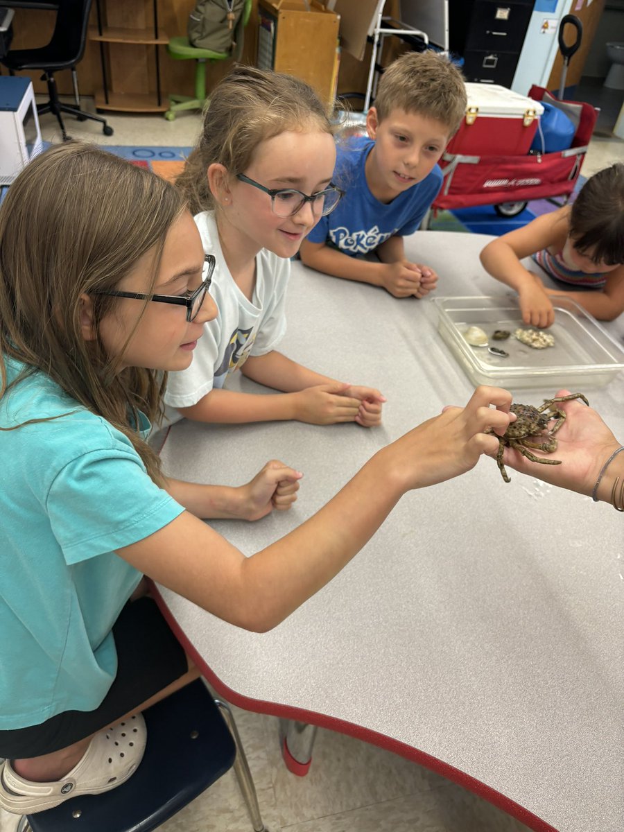 msgalloteaches's tweet photo. Yesterdays touch tank at summer enrichment was a success! 🦀 https://t.co/RC3ZRNJ15b