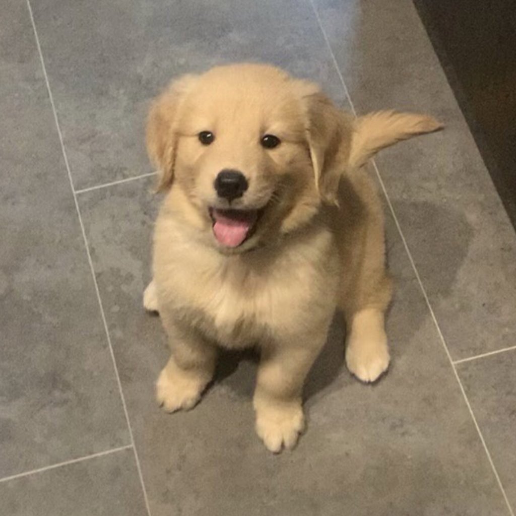 takemybear 🐶 tweet media