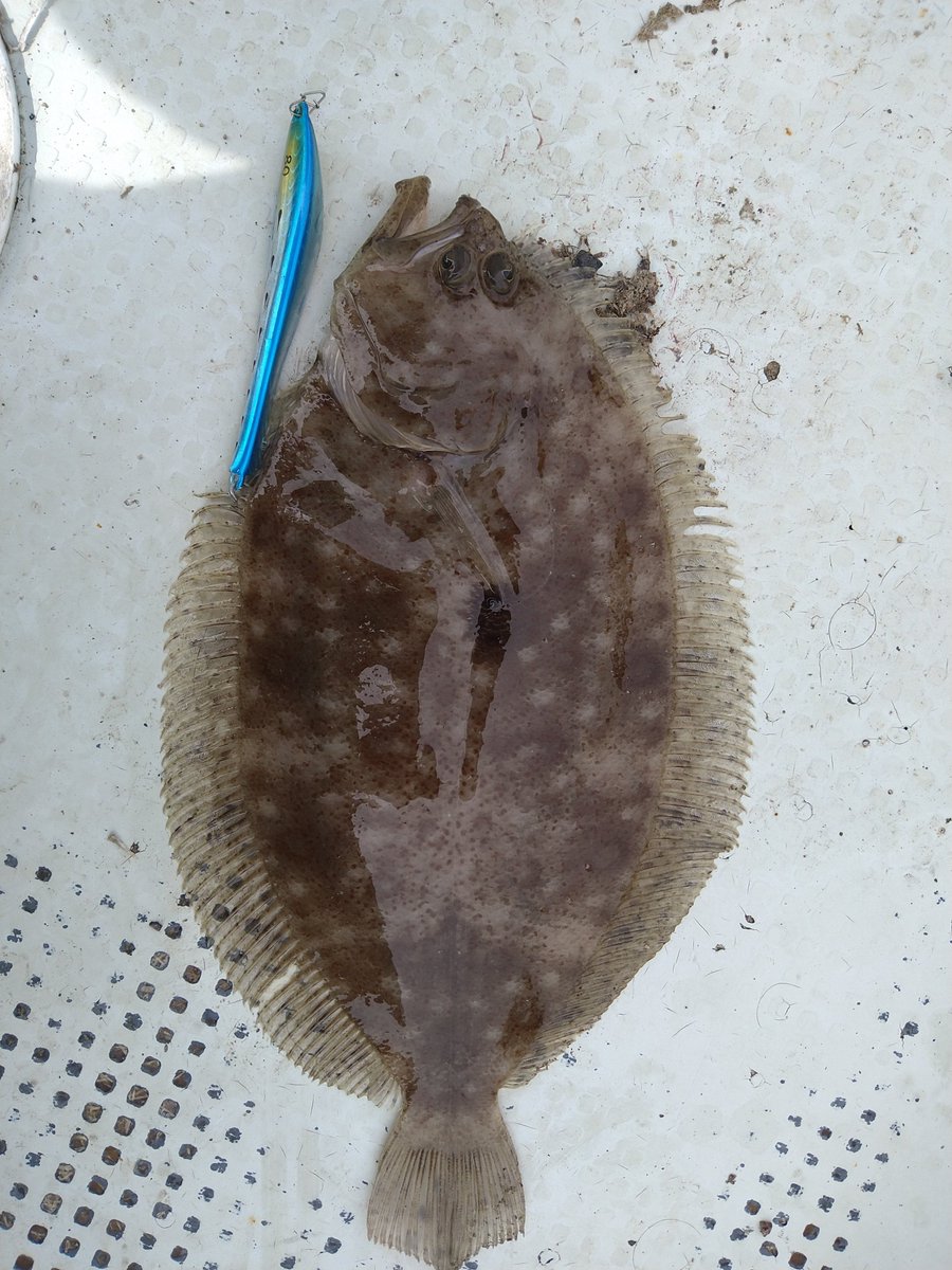 ＭＫＣ tweet media