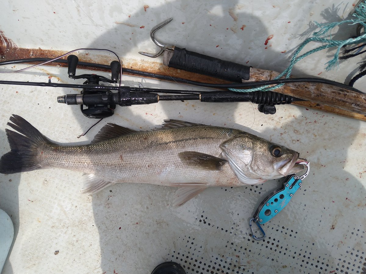 ＭＫＣ tweet media