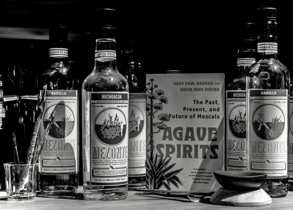 David Suro-Piñera tweet media