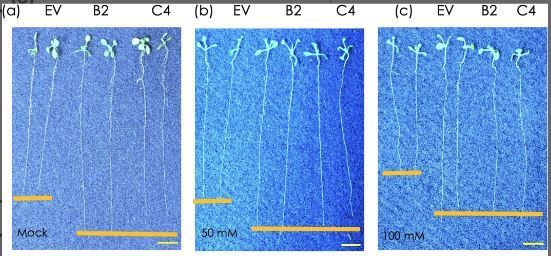 Plant Direct Journal tweet media