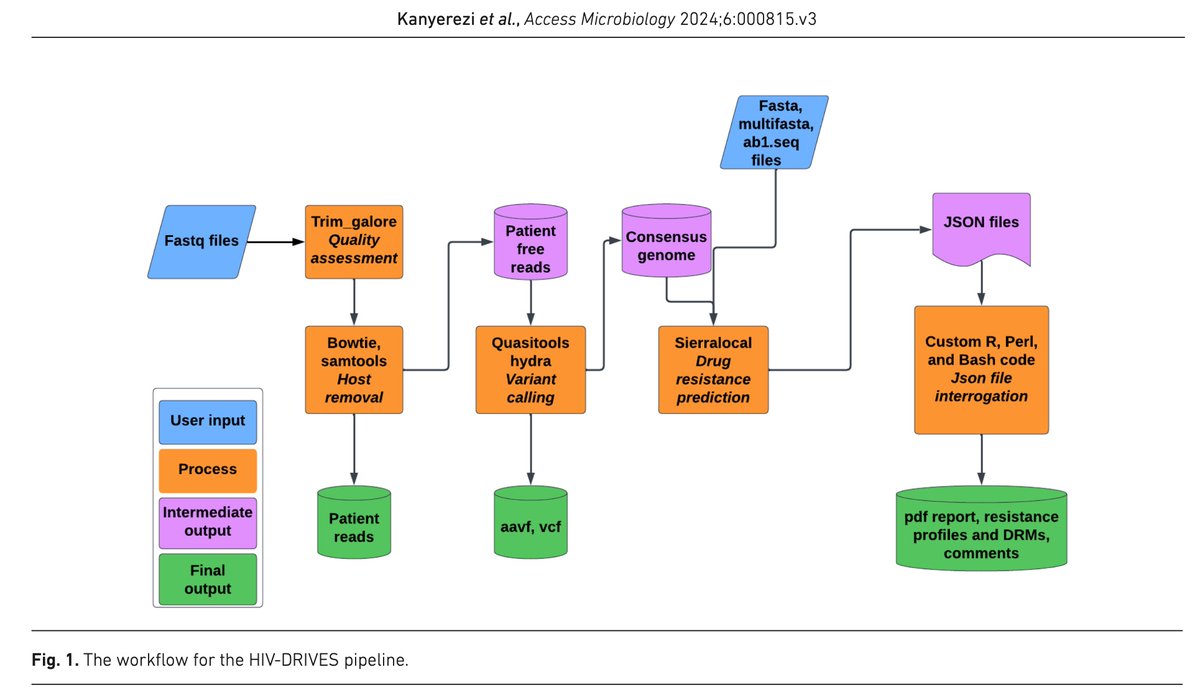 GeraldGmboowa's tweet image. We introduce the HIV-DRIVES (HIV Drug Resistance Identification, Variant Evaluation & Surveillance) bioinformatics pipeline (microbiologyresearch.org/content/journa…) in @MicrobioSoc. A high- level analytical pipeline designed to overcome the limitations inherent in traditional HIVDR profiling…