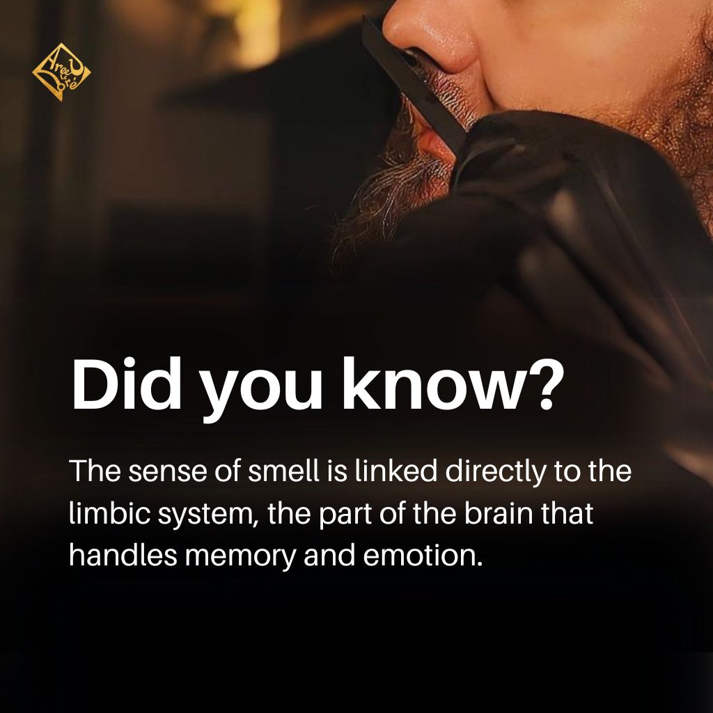 areejledore's tweet photo. Discover some fun facts about the fascinating world of perfumes. Did you know these?
#AreejLeDore #PerfumeFacts #FragranceTrivia #PerfumeKnowledge #ScentedSecrets https://t.co/k6R8WBGMTr