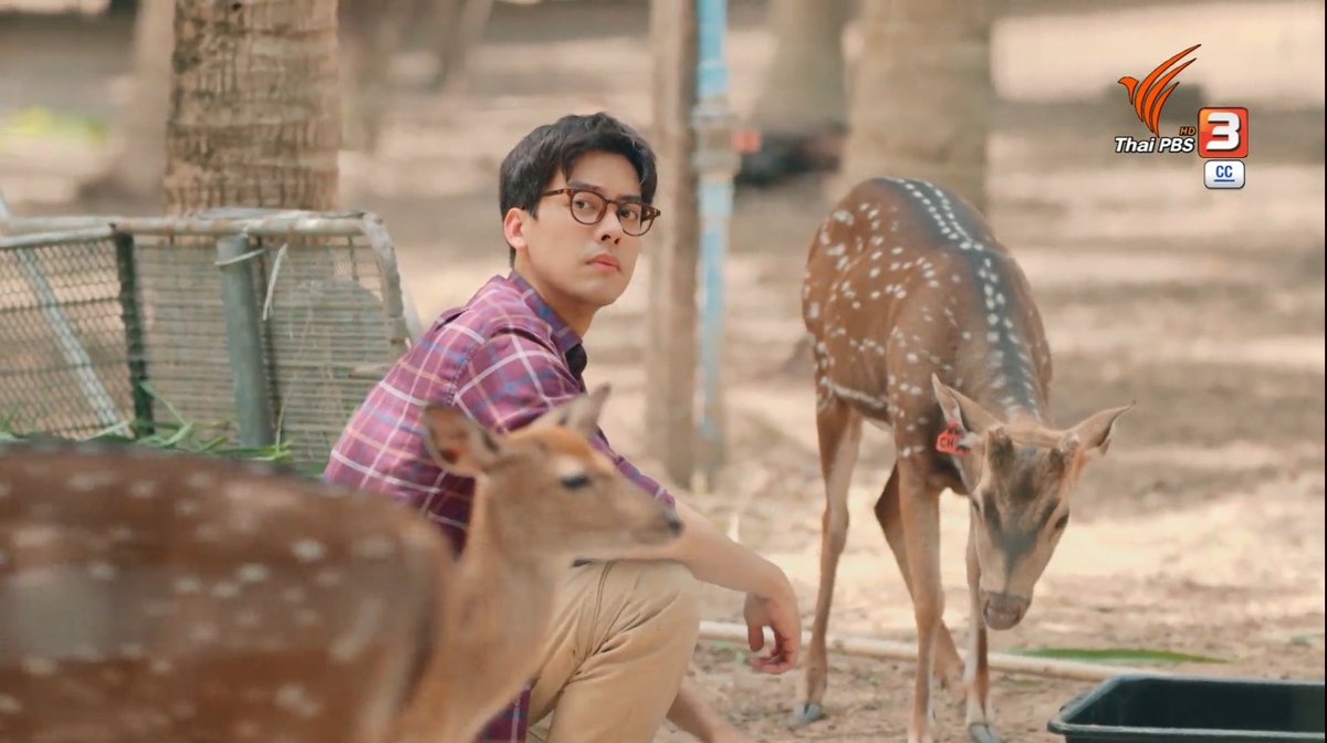 am_jieun's tweet image. ชีวิตช่วงนี้มีแต่เรื่อง มีแต่ปัญหา พอได้กลับมาดูละครพี่เต้เรื่องสวัสดีความสุขแล้วก็ทำให้อยากกลับไปใช้ชีวิตอยู่กับธรรมชาติบ้าง ว่าแล้วก็อยากเห็นพี่เต้เล่นซีรี่ย์เรื่องใหม่แล้วค่ะ 💙😊
#คิดถึงพี่ทิวเขา
#HelloHappy
#สวัสดีความสุข
#ละครไทยพีบีเอส
#TaeDarvid