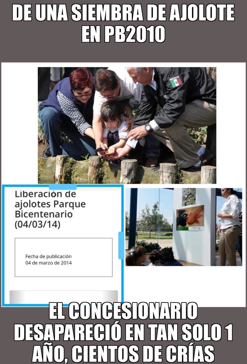 ricdunas's tweet photo. @jenarovillamil @LuisaAlcalde Pues si, así está en la Constitución y hay que respetar la Ley.
Ahora, atendiendo la Ley que está en el libro llamado CPEUM ¿podemos “leer” lo relativo a la entrega ilegal e inmoral de Parque Ecológico Bicentenario?
#RecuperaTuParque Sr Pdte @lopezobrador_ solicito audiencia https://t.co/q2p0uZFzJY