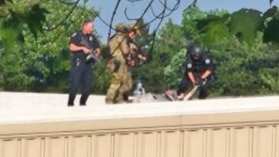 RoguePoet207's tweet image. Sloped roofs are only a problem when your DEI hire from Pepsi doesn't have a clue about her job but is in charge of the USSS!

Two images from the scene and one from The White House

Incompetence 
#ResignCheatle #FireCheatle #SlopedRooftops #SlopedRoof #sloped
#slope #DEImustDIE