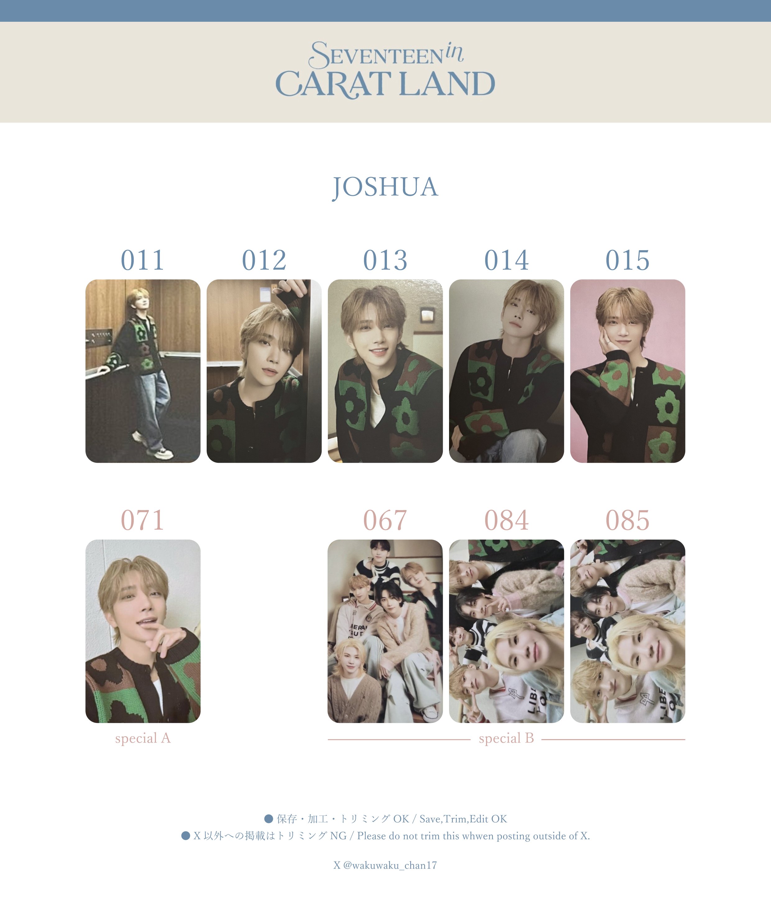 SEVENTEEN CARAT LAND 賞賛に値する ドギョム トレカ