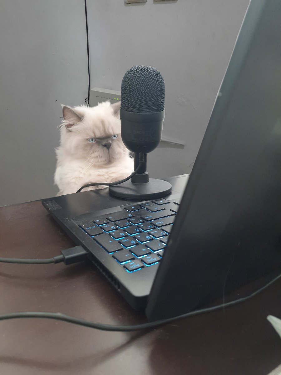 supepeng (@pepengbison) on Twitter photo 