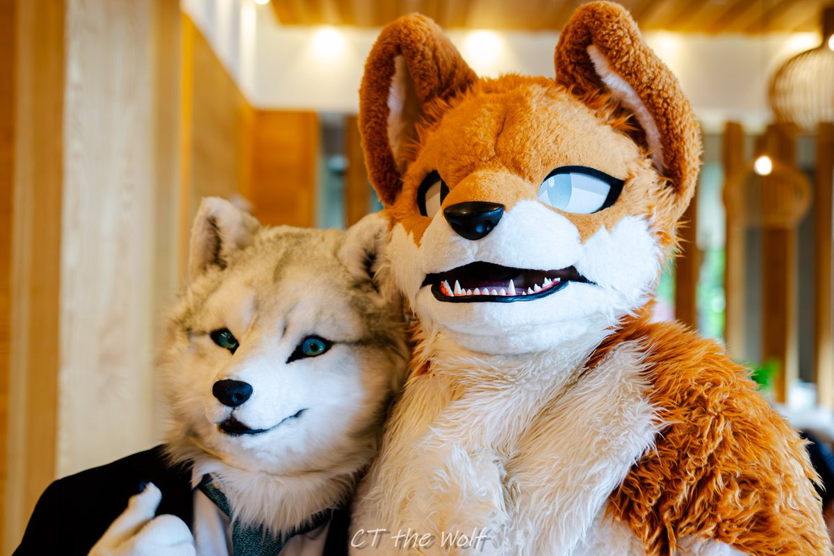 nottsvwolf's tweet photo. 今回のFurMIT、本当にとても楽しかったです！
 台湾に来てくれて、写真を一緒に撮る機会をありがとう～😇

もしよければ、もっと写真を撮ったり、一緒におしゃべりしたいです！🥰
 これからもどうぞよろしくお願いします。

📷： @CT_Weng 

#FurMIT2024 #FurMIT24 #FurMIT https://t.co/y4osYlXJAc