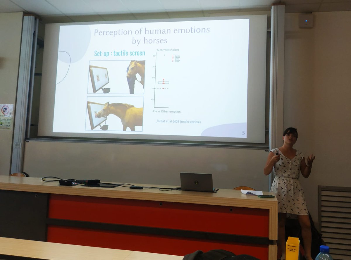 Equipe Cognition, Ethologie, Bien-être Animal tweet media