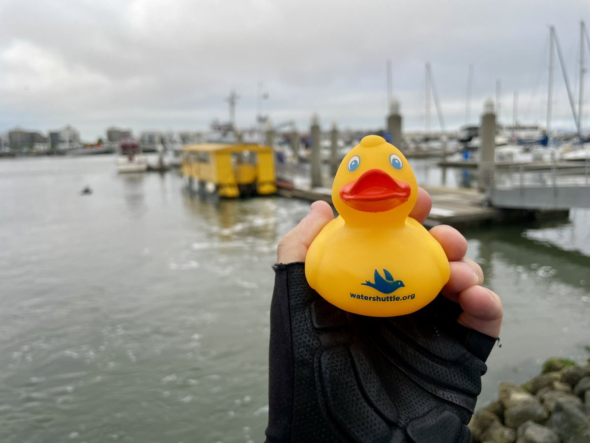 prinzrob's tweet photo. First voyage on the new Oakland-Alameda estuary shuttle was a success! A smooth ride & great bike access. Thanks @CityofAlameda @AlamedaCTC @AirDistrict @JackLondonOak @PortofOakland @SFBayFerry & everyone else who helped make it happen! https://t.co/BblZwQpBYQ