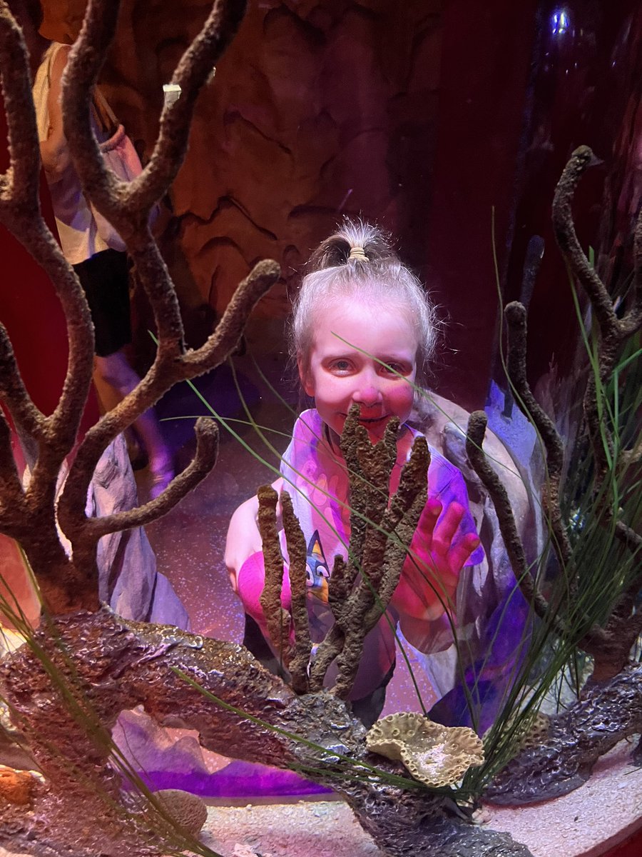 bjareeves5's tweet photo. Clancy’s travels part 2 to Florida for dance Nationals! @SolleyAACPS #aacpsawesome https://t.co/4QkCjUw8Ix