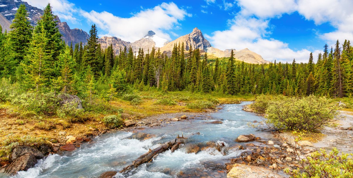 Canada's tweet photo. Celebrate #ParksDay this weekend by visiting one of Canada’s beautiful national or provincial parks! Full of beauty and diversity, #CanadaParks are perfect for #Hiking, #Camping and enjoying #Nature. What is your favourite park? Let us know below! 🏞️🌳 https://t.co/fmNnKBvxOM