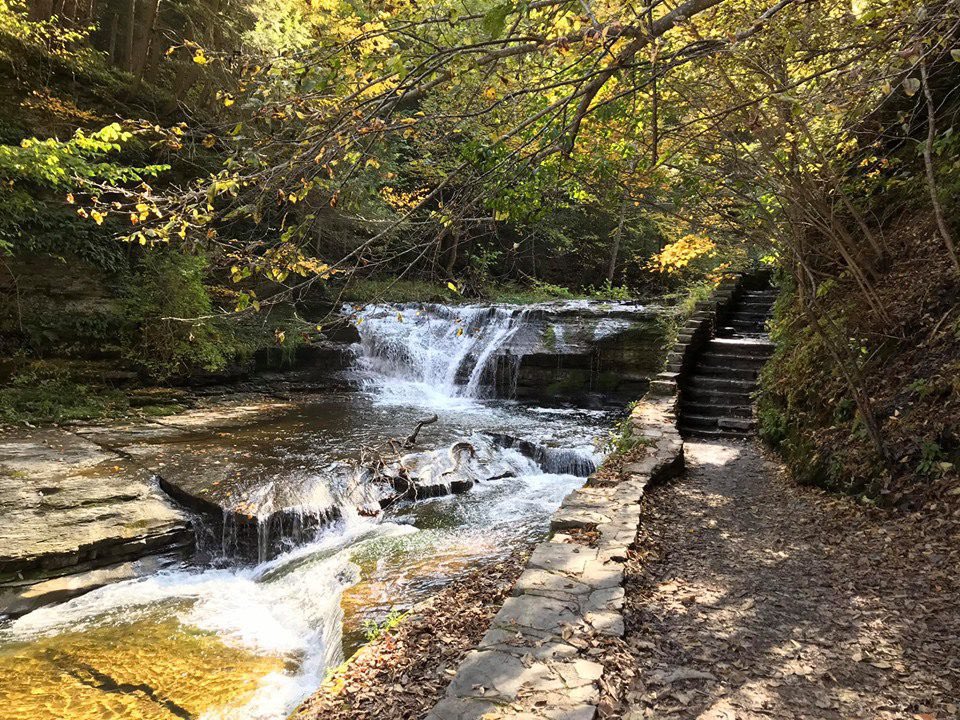 NYSadventures's tweet photo. There are two major waterfalls in Robert Treman State Park. The Lower Falls (Enfield Falls) is extremely easy to get to and Lucifer Falls, an impressive 115-foot waterfall that cascades down into the gorge. https://t.co/b0We6SECTn https://t.co/NLbAuxGuUs