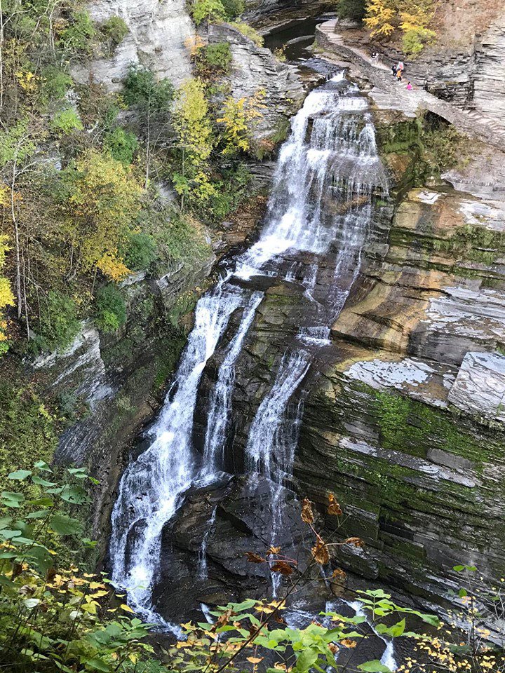 NYSadventures's tweet photo. There are two major waterfalls in Robert Treman State Park. The Lower Falls (Enfield Falls) is extremely easy to get to and Lucifer Falls, an impressive 115-foot waterfall that cascades down into the gorge. https://t.co/b0We6SECTn https://t.co/NLbAuxGuUs