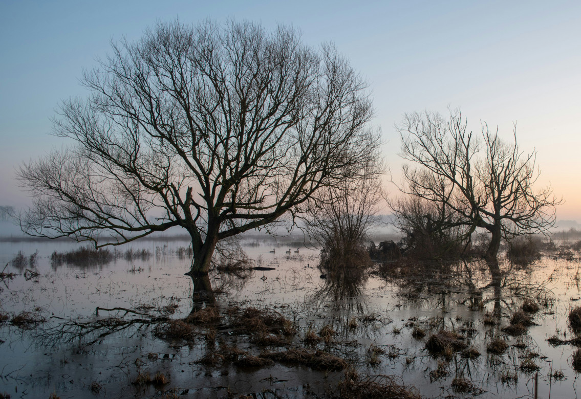 Flood Industry tweet media