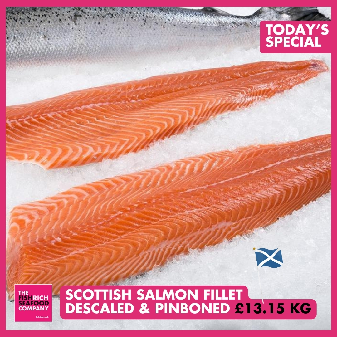 FishrichThe's tweet photo. 🐟️ Today's Special
Scottish Salmon Fillet Descaled & Pinboned - £13.15kg
📱0115 978 9411
📧 orders@fishrich.co.uk
🖱️ https://t.co/xLAskXZgXK
🚚 Delivering Tues-Sat across Midlands
#fish #seafood #chefs
#nottingham #restaurants #salmonfillet https://t.co/MoWgpUNmlC