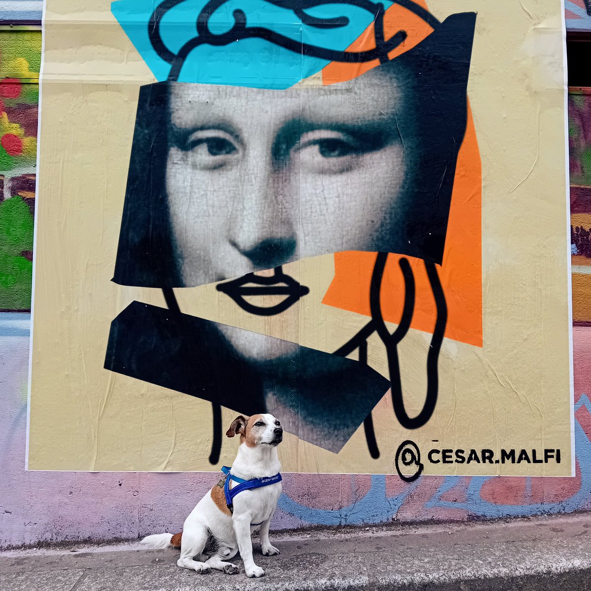 jjgallagher3's tweet photo. Sammie discovered culture in Paris ๐ฅฐ @TheOnlyGuru @godofdogs @EzyDogUK @StrontiumCat @redteamJSY @AndreaLeSaint2 @suedelacour #Paris2024 #artdog https://t.co/wrxWABmacC