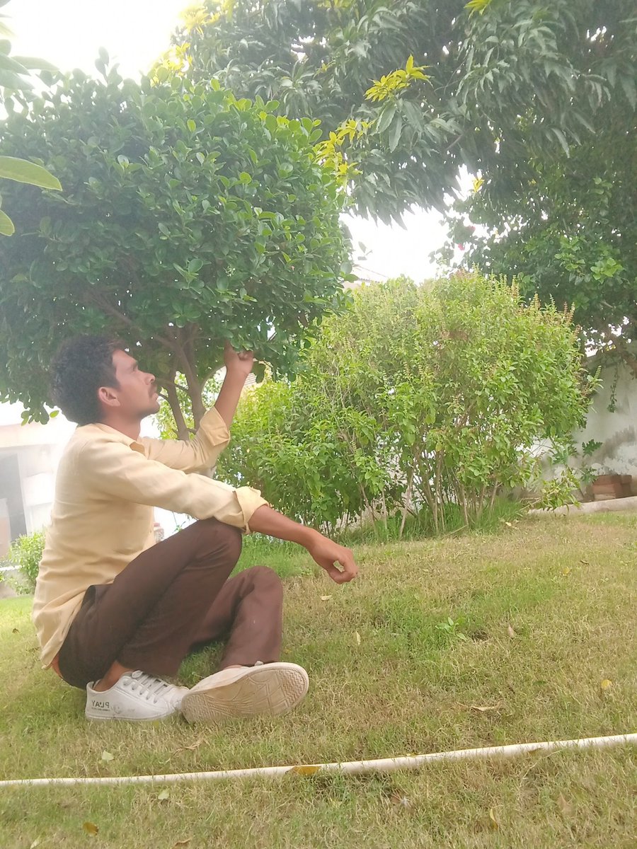 ज़हर के काबिल भी ना थे कुछ लोग 
अफ़सोस हम उन्हें चाय पिलाते रहे🎯🎯🙏🙏🌹🌹✍️✍️