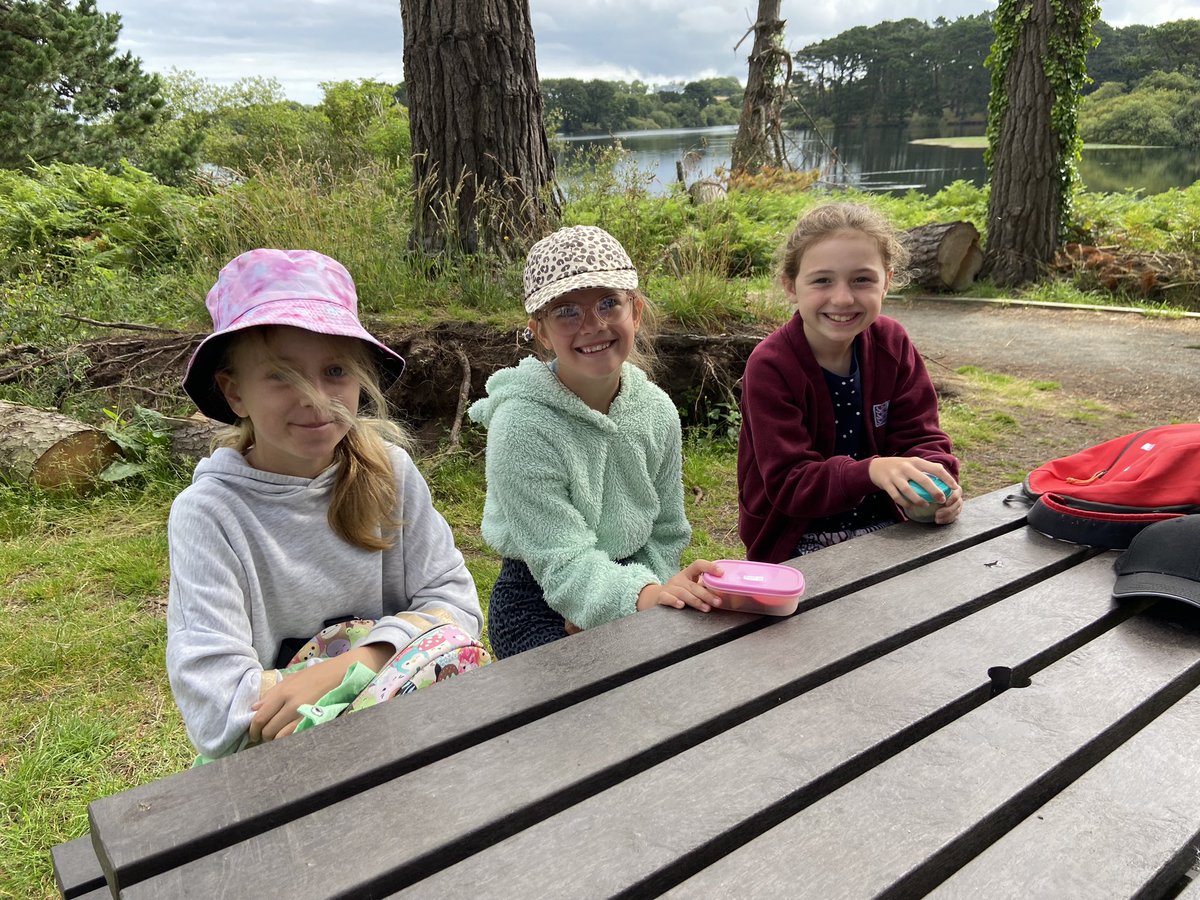 La Mare Primary tweet media