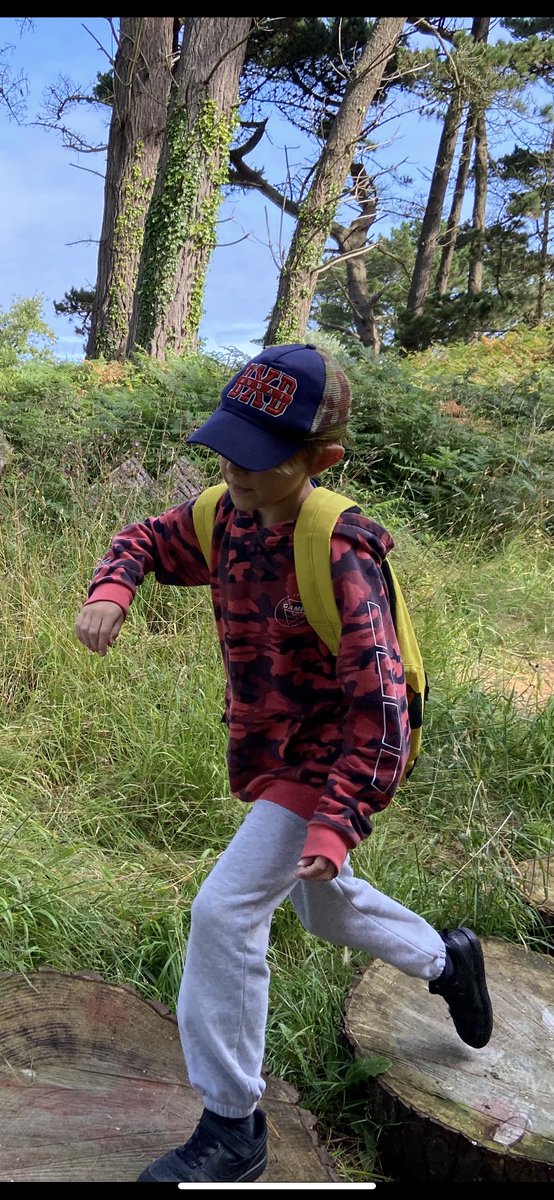 La Mare Primary tweet media