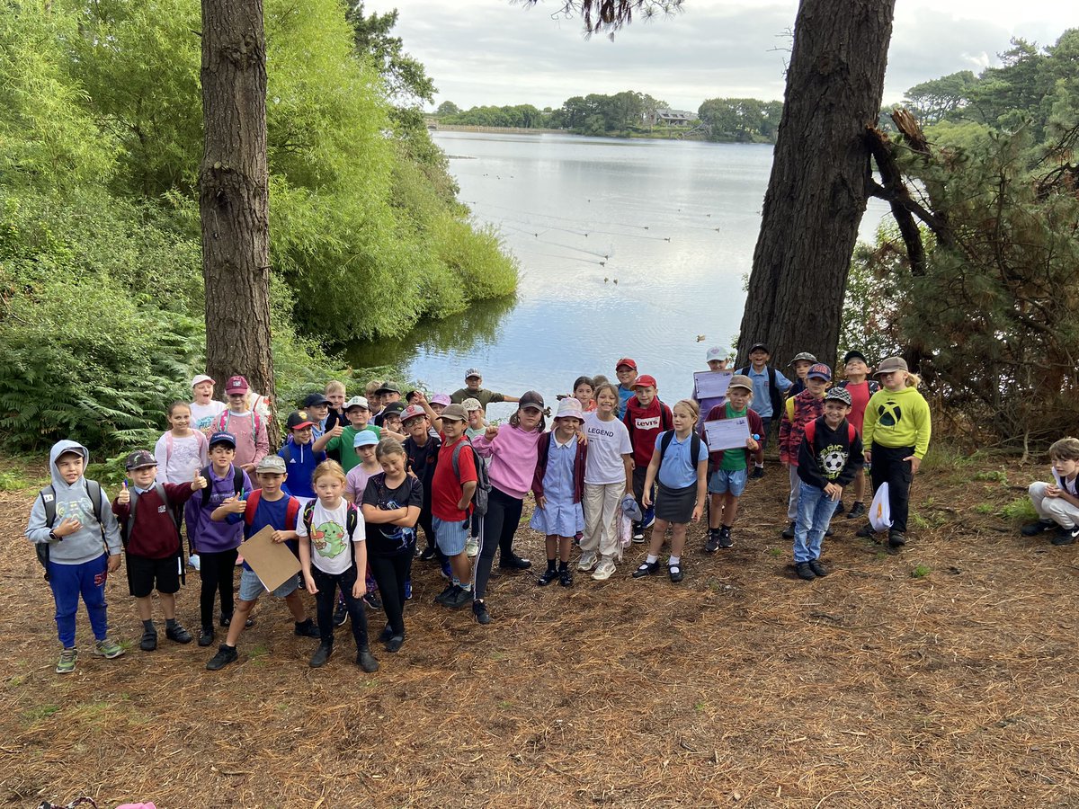 La Mare Primary tweet media