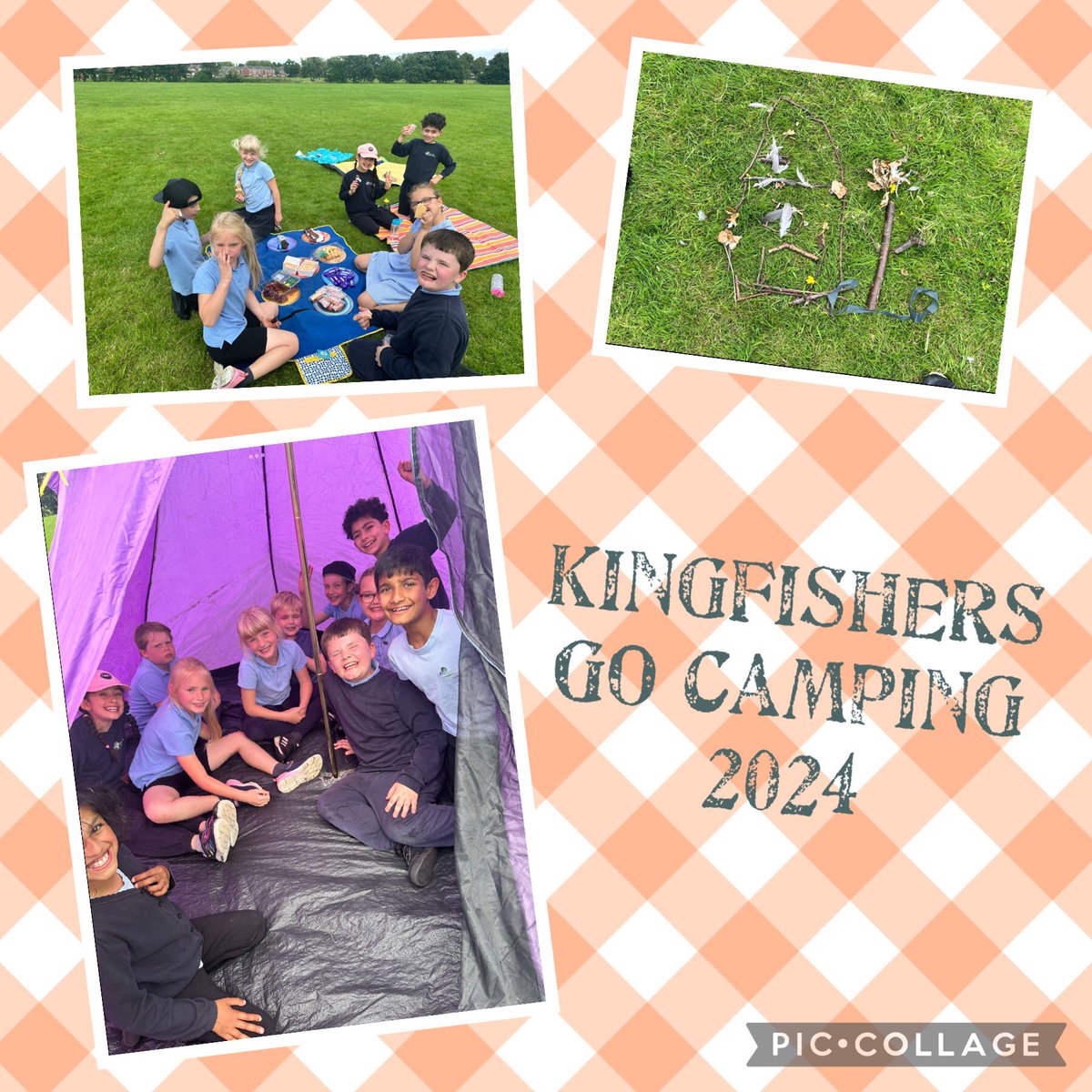Kingfishers - Miss Johnston tweet media