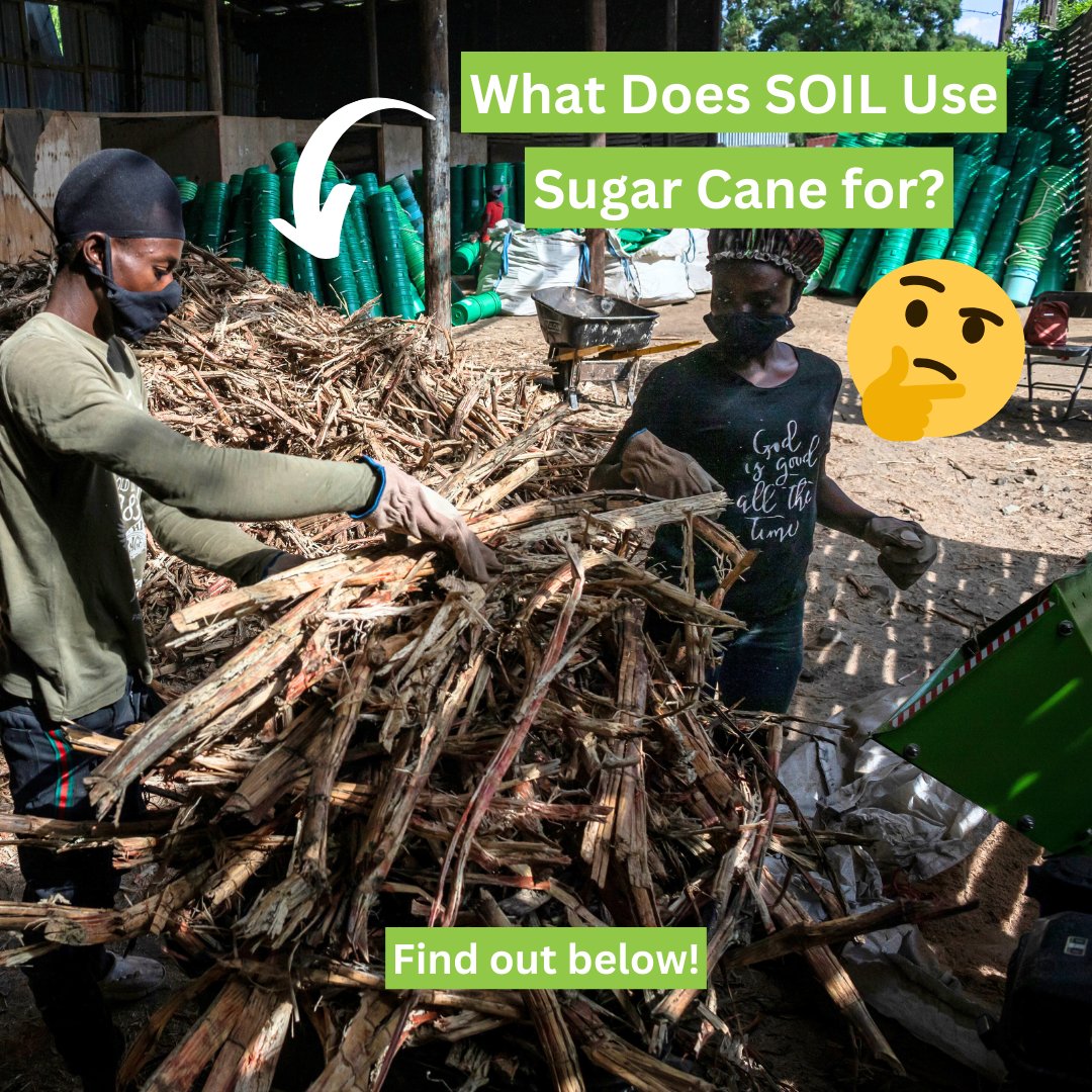 SOILHaiti's tweet photo. Bonzodè, SOIL's toilet cover material, keeps things fresh and fly-free. It's an 80% sugar cane husk and 20% compost mix, optimizing composting and odor control. 🌿🚽
#Sanitation #ContainerBasedSanitation #Bonzode #Haiti https://t.co/6VbgIVe0nY